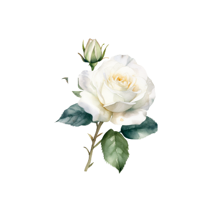 ML Logo